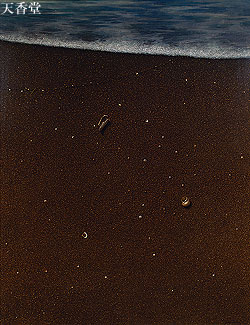 ��3����{���ʑI���W(2007) ��