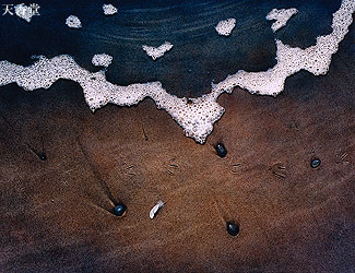 ��87����{���ʓW ��74��(1999) ���\��