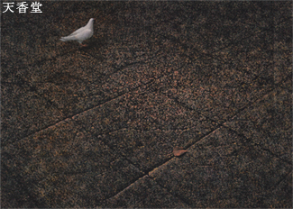 �O�l�W(1985) ���\��