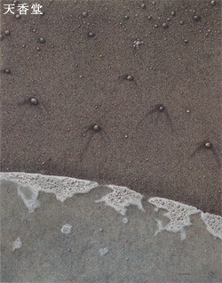 ��65�񓹓W(1989) ���\�݂���