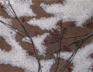 ��84����{���ʓW(1996) ���\��