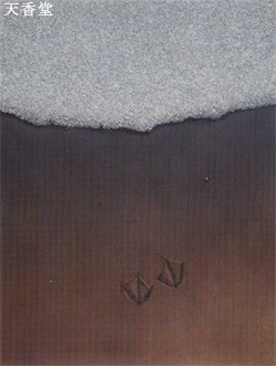 �k�̌����ۓW(2000) ���\��