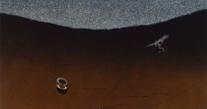 ��i�� �w���x ��5����{���ʑI�� 2009�N